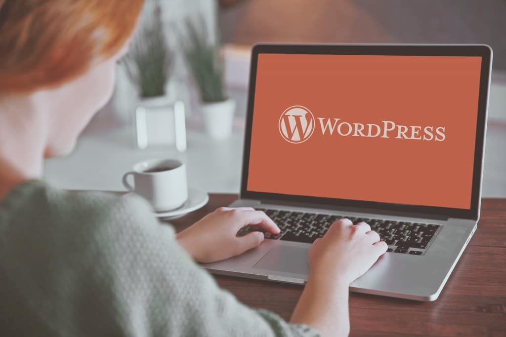 Most Used WordPress Features But Less Exploited by Bloggers