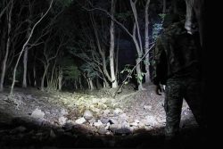 Military-Flashlights