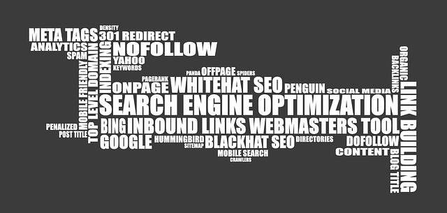 Top 5 Qualities Required to Select a SEO Company