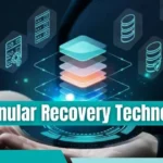 Granular Recovery Technology